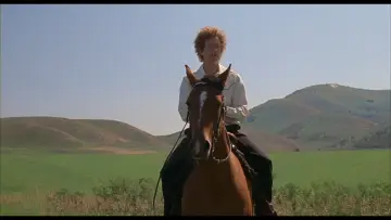 Backdrop to the movie "Napoleon Dynamite" #922140
