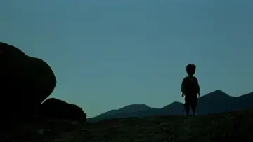 Backdrop to the movie "Turtles Can Fly" #1083638