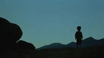 Backdrop to the movie "Turtles Can Fly" #1186747