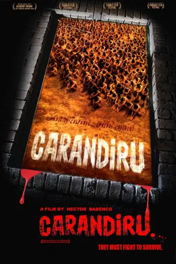 Poster to the movie "Carandiru" #985995