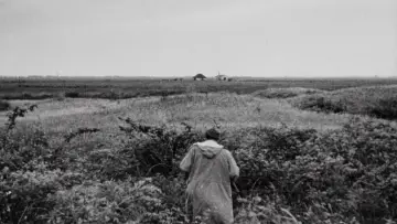 Backdrop to the movie "Paisan" #1087146