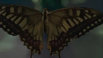 Backdrop to the movie "Swallowtail Butterfly" #1079579