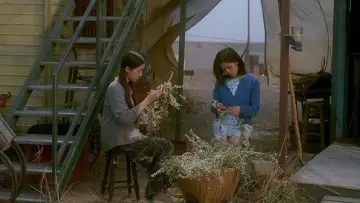 Backdrop to the movie "Swallowtail Butterfly" #1079591