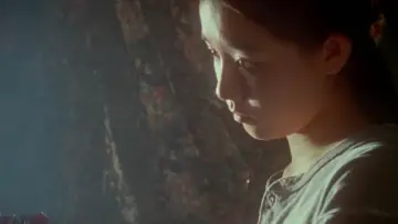 Backdrop to the movie "Swallowtail Butterfly" #1079637