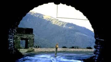 Backdrop to the movie "The Vanishing" #522724