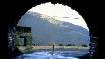 Backdrop to the movie "The Vanishing" #851732
