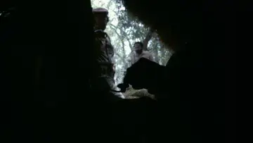 Backdrop to the movie "Che: Part Two" #745120