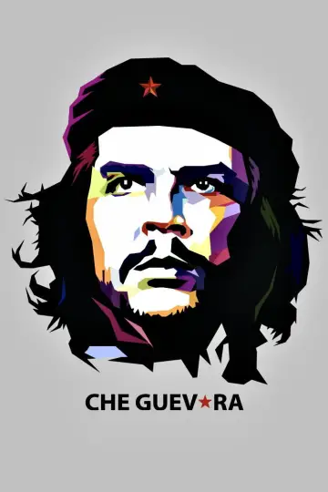 Poster to the movie "Che: Part Two" #996400