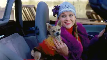 Backdrop to the movie "Legally Blonde" #265927