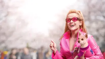 Backdrop to the movie "Legally Blonde" #616078