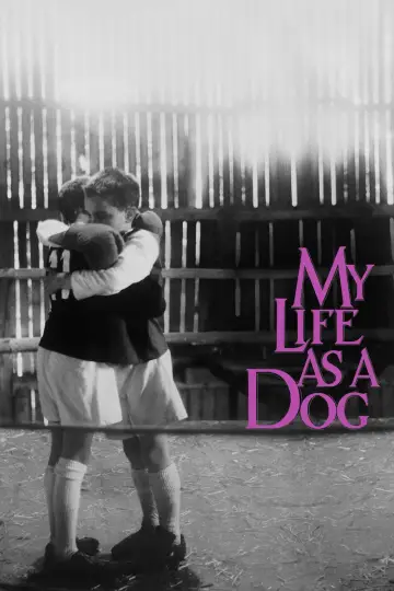 Poster to the movie "My Life as a Dog" #1169011