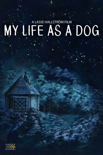 Poster to the movie "My Life as a Dog" #157016