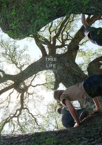 Poster to the movie "The Tree of Life" #852843