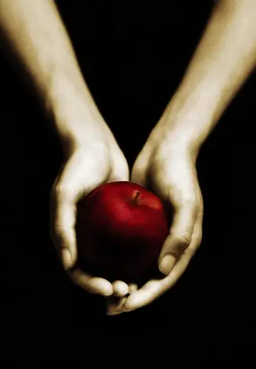 Poster to the movie "Twilight" #442598