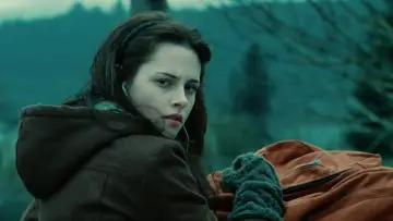 Backdrop to the movie "Twilight" #519821
