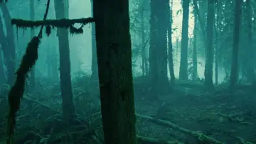 Backdrop to the movie "Twilight" #960101