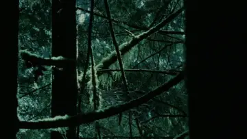 Backdrop to the movie "Twilight" #960103