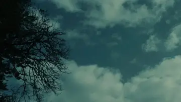 Backdrop to the movie "Twilight" #960105