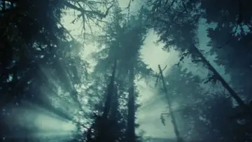 Backdrop to the movie "Twilight" #960108