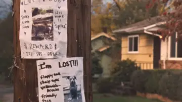 Backdrop to the movie "Wendy and Lucy" #1580583