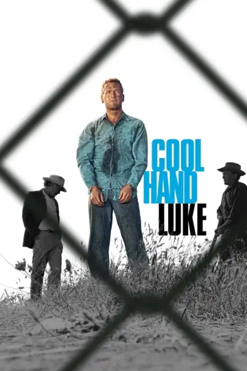 Poster to the movie "Cool Hand Luke" #102965