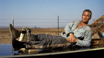 Backdrop to the movie "Cool Hand Luke" #754824