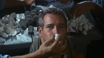 Backdrop to the movie "Cool Hand Luke" #754836