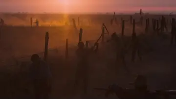 Backdrop to the movie "Cool Hand Luke" #754843