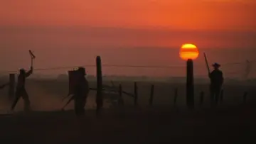 Backdrop to the movie "Cool Hand Luke" #754846