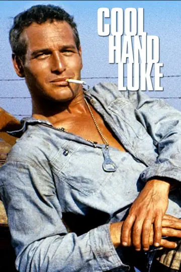 Poster to the movie "Cool Hand Luke" #754860