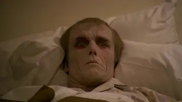 Backdrop to the movie "Dawn of the Dead" #211826