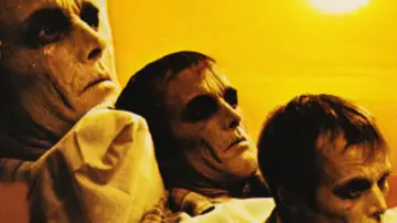 Backdrop to the movie "Dawn of the Dead" #708384