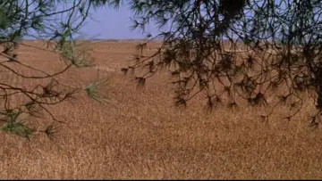 Backdrop to the movie "Doctor Zhivago" #852648