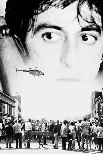 Poster to the movie "Dog Day Afternoon" #853595