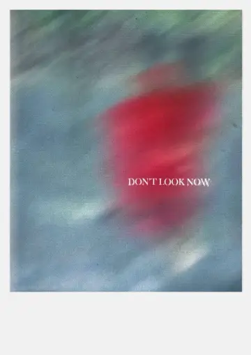 Poster to the movie "Don