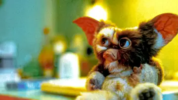 Backdrop to the movie "Gremlins" #240438