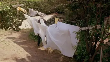 Backdrop to the movie "Halloween" #610812
