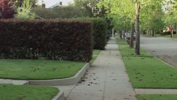 Backdrop to the movie "Halloween" #610869