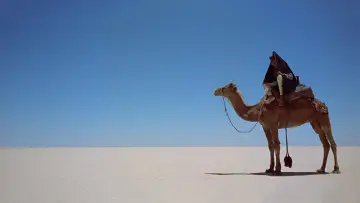 Backdrop to the movie "Lawrence of Arabia" #402017