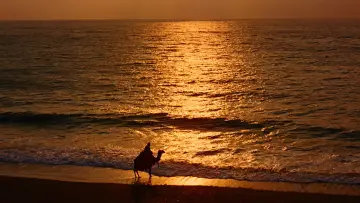 Backdrop to the movie "Lawrence of Arabia" #627740