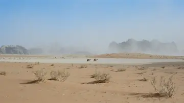 Backdrop to the movie "Lawrence of Arabia" #627808