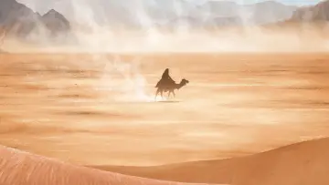 Backdrop to the movie "Lawrence of Arabia" #627847