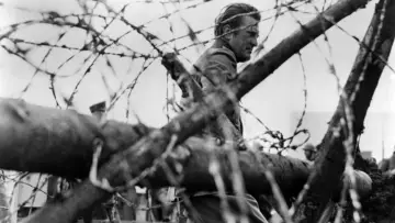 Backdrop to the movie "Paths of Glory" #728379