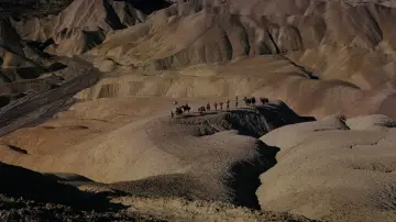 Backdrop to the movie "Spartacus" #640849