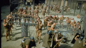 Backdrop to the movie "Spartacus" #800082