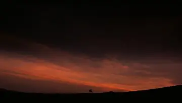 Backdrop to the movie "Spartacus" #964886