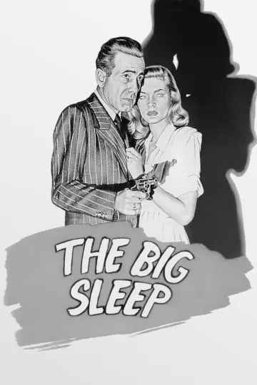 Poster to the movie "The Big Sleep" #710530