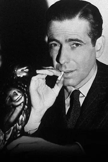 Poster to the movie "The Maltese Falcon" #189084