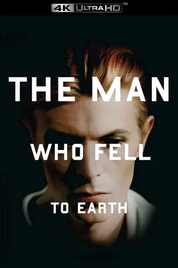 Poster to the movie "The Man Who Fell to Earth" #765193