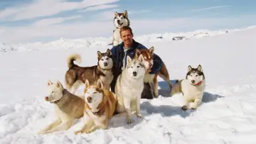 Backdrop to the movie "Eight Below" #246650